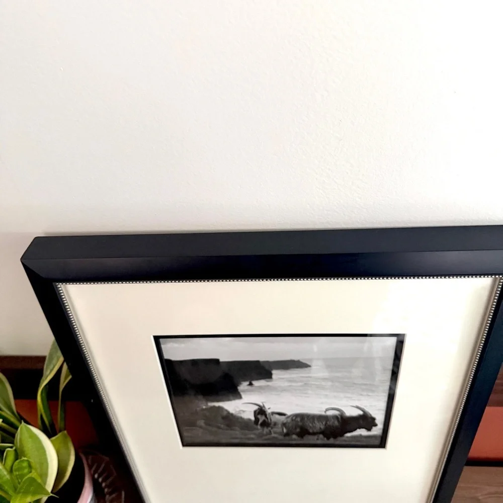 Mountain Goat Black & White Photo Black Framed Wall Hanging Art Coastline Ocean